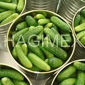 Canned pickled cucumbers gherkins 3-6cm (108oz / 3005ml)