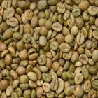 UNWASHED ARABICA GREEN COFFEE BEANS GRADE 1 SCREEN 16