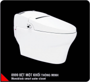 Smart monoblock  toilet seat