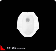 Squat toilet 